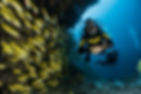 Image by Sebastian Pena Lambarri