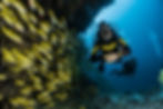 Scuba Diving in St. Kitts and Nevis