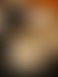 Your Brain on Gratitude: How Thankfulness Rewires Your Mind