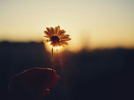 Embrace The New You