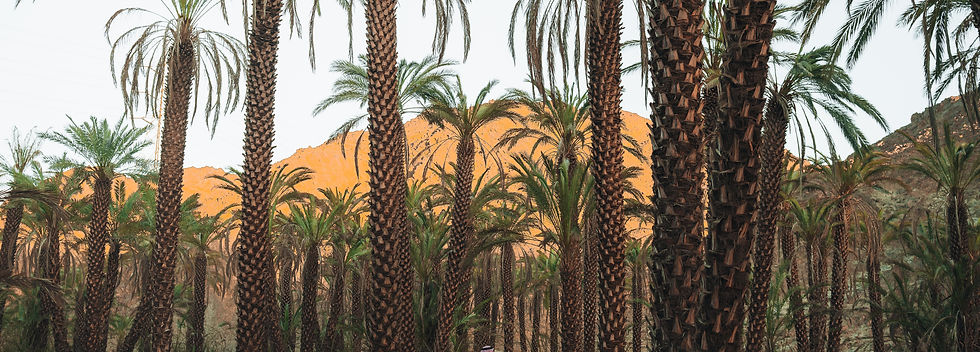 Image by NEOM