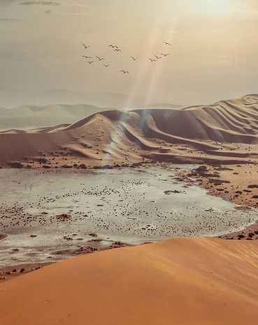 Image by Renè Müller