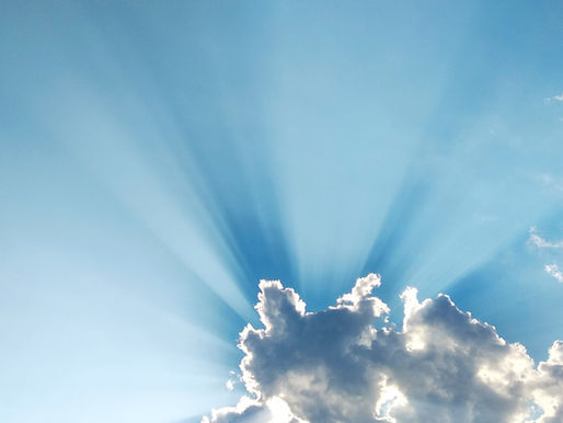 The Importance of Vitamin D