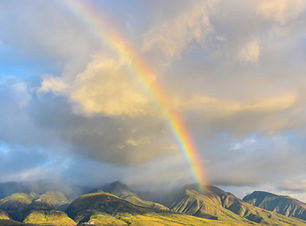 Image by Look Up Look Down Photography