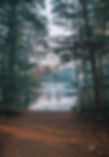 Image by Ruben Hanssen