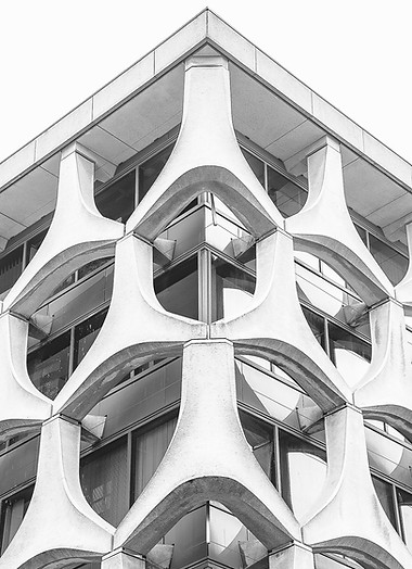 Image by Peyman Shojaei
