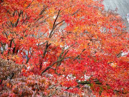 September 2021 Energy Report