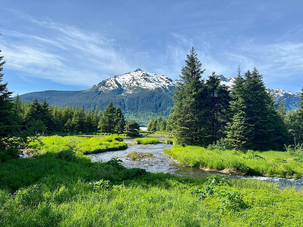A serene mountain scene with a snow-capped peak, lush green trees, and a gently flowing stream under a clear blue sky.