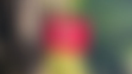 ÖFFNUNGSZEITEN 1.AUGUST