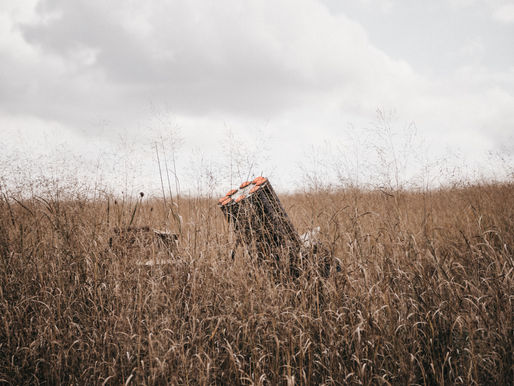 Sporting Clays