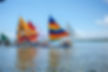 Boats with colourful sails in the sea