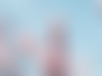 Planting in November