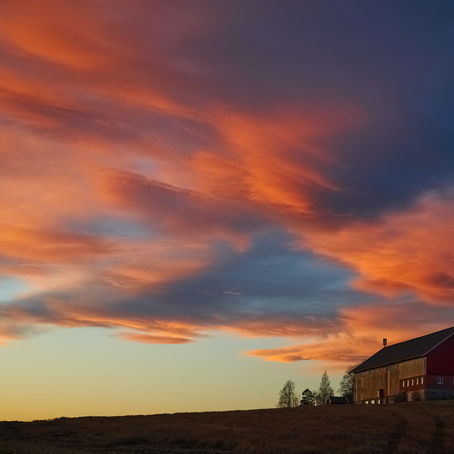 On the Paddybug Farm