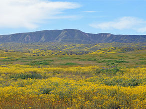 Pecos Wilderness