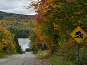 Caminos Torcidos y Rectos