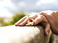 woman takes off ring