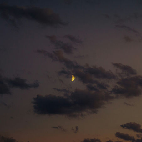 Shadow Maribrengaël -星座別 2月の私たちへ-