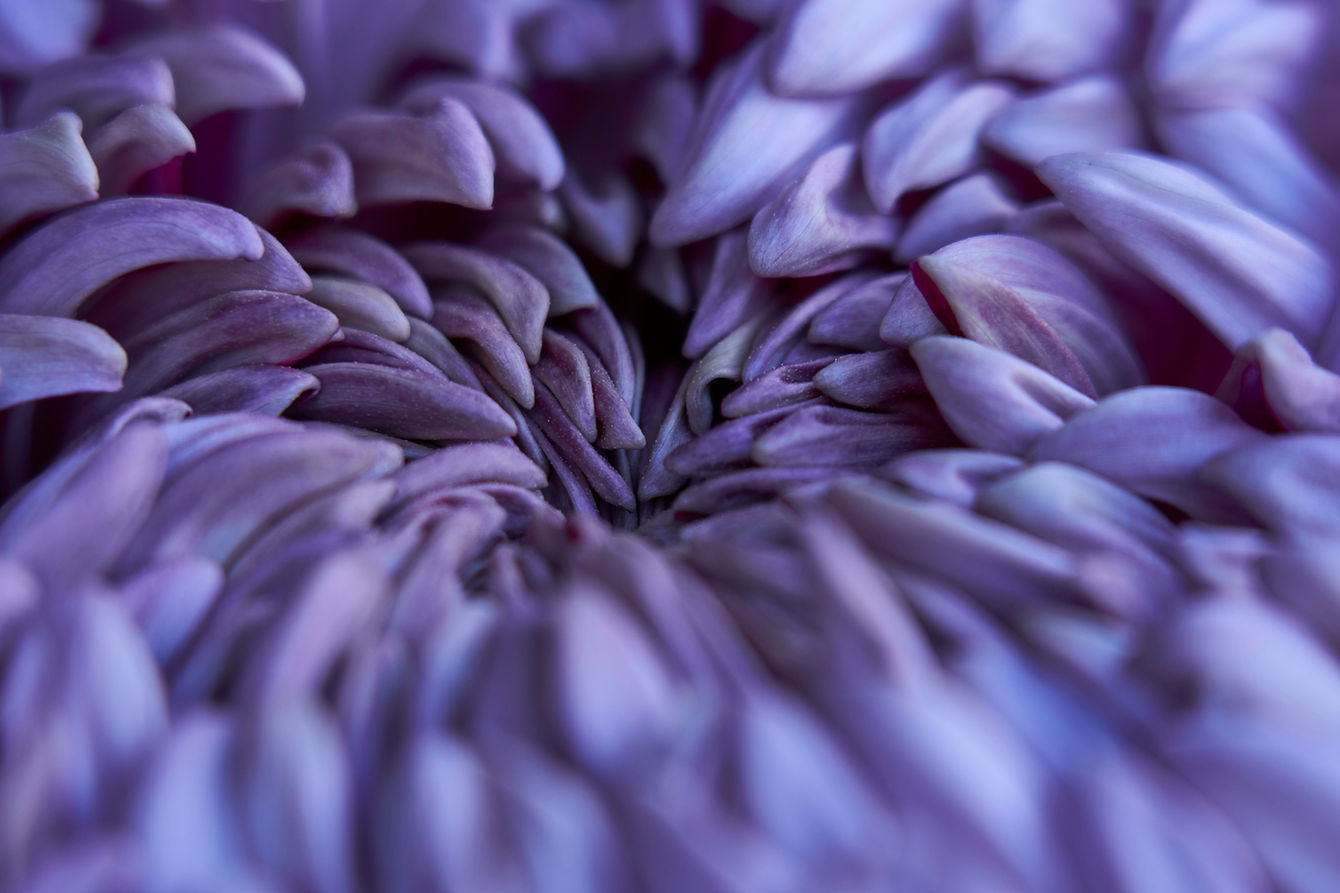 Image by Hiroya Nakashima