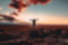 Image de Xan Griffin