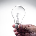 Lightbulb — reflecting the clarity and wisdom Echo offers