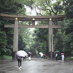 Image by Yosuke Ota