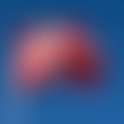 Danmarks største it-virksomhed siger nej tak til at udvikle statens egen chatbot