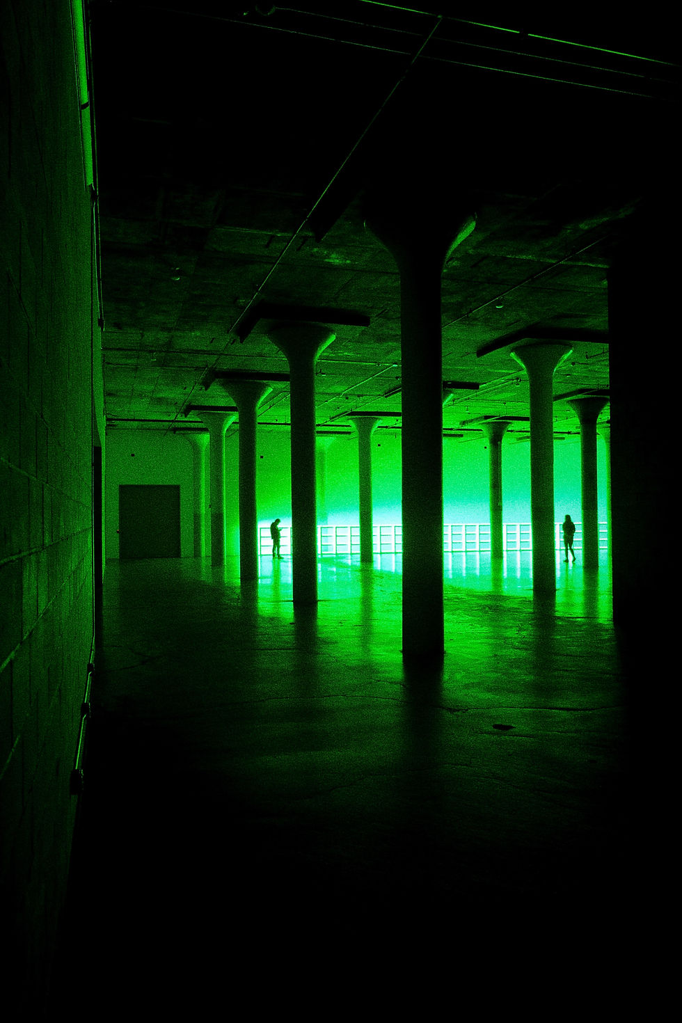 Image by Dylan Maidenberg