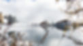 Image de Artiom Vallat