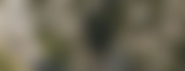 ¿Cómo alquilar un kayak en las gargantas del Verdon?