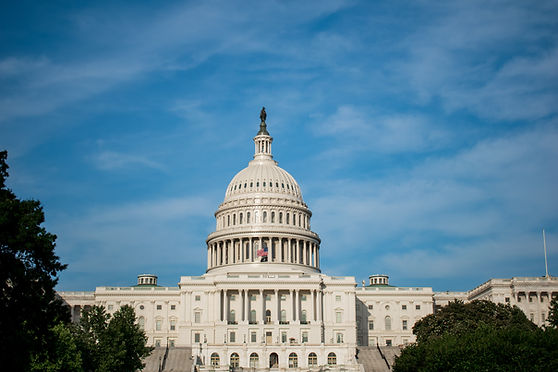 US Capitol Building, Vote 4 Change