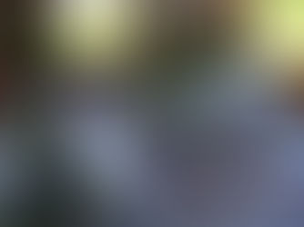 Study 1: Luke 15: 1-32: Trent Evans