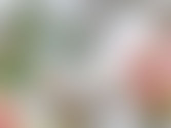 Attachment and Relational Therapy in BC