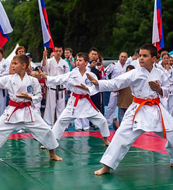 Image by Dmitriy Ignatenko