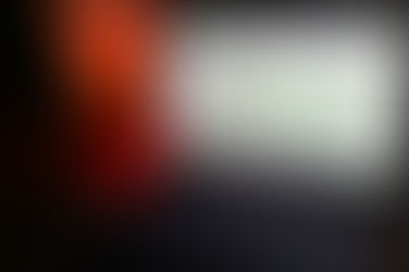 Vyriausybė raginama siekti lietuvių kalbos integracijos tarptautinėse kalbų mokymosi platformose