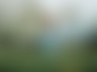 Recognizing and Managing Anxiety in Children and Adults