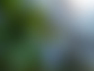 Exploring Additional Medicinal and Multipurpose Plants for Safara Lekki