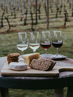 A boutique winery in the Casablanca Valley near Santiago