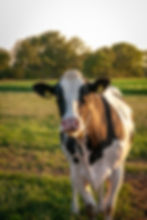 Sortie à la Ferme (Finissants)