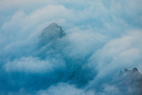 Image by Luke Thornton