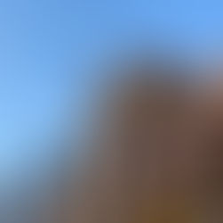 Street view of Lower Manhattan with classic brick buildings and fire escapes in the foreground, Chinatown signage along the block, and One World Trade Center rising in the distance under a clear blue sky.