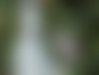 菩薩が知らせてくれたこと