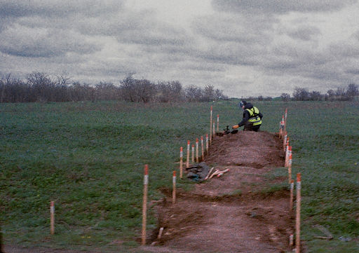 Image by Illia Horokhovsky