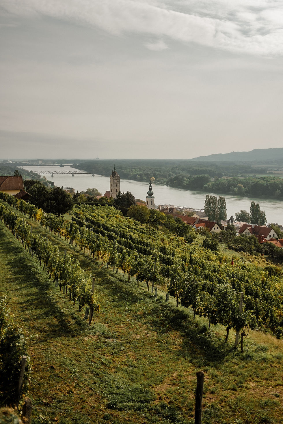 Hosted Wine Trips