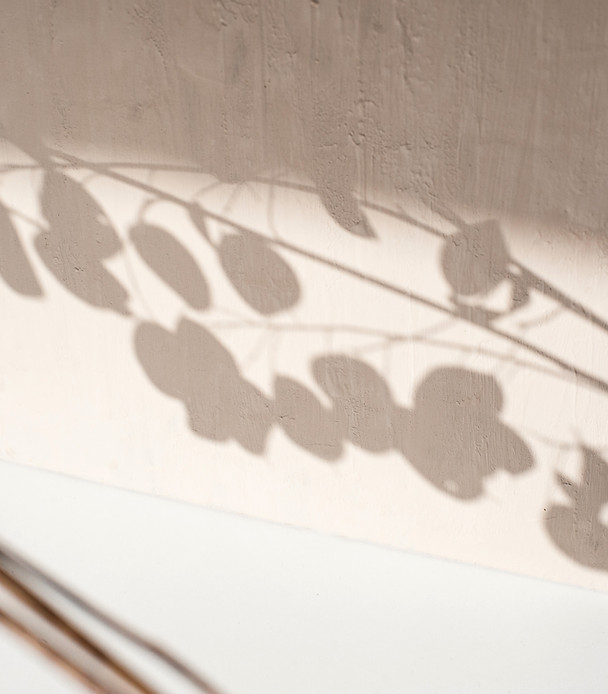 Image by Elena Joland