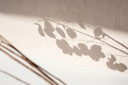 Image by Elena Joland