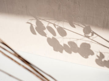 Image by Elena Joland