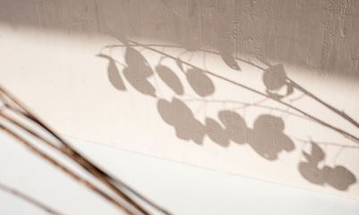 Image by Elena Joland