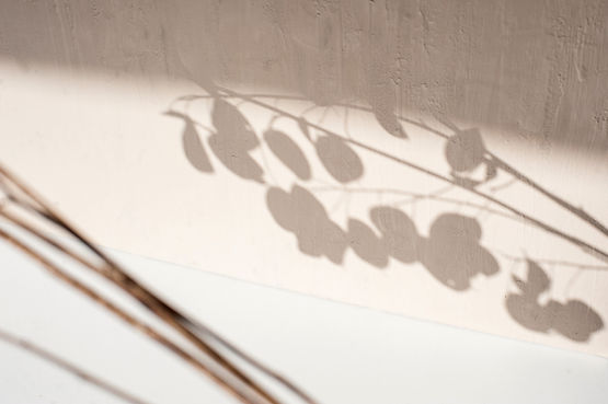 Image de Elena Joland