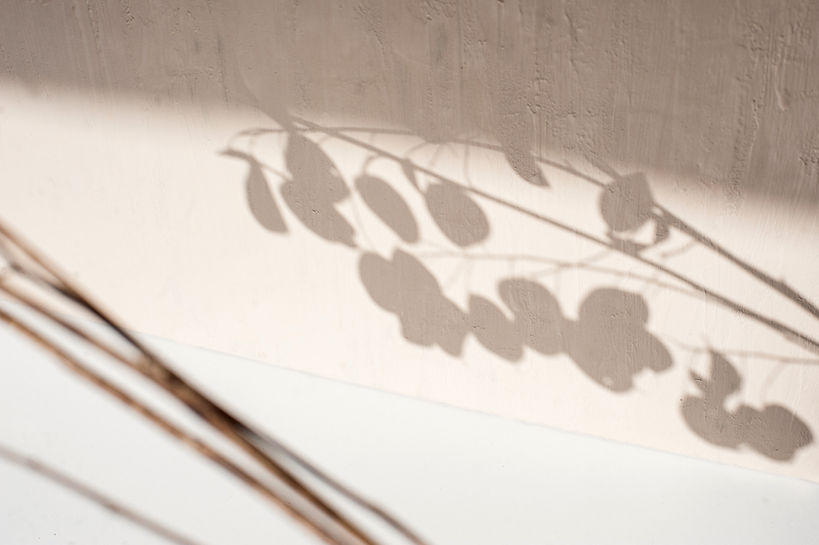 Image by Elena Joland