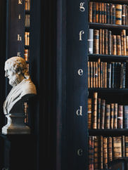 Image by Giammarco Boscaro